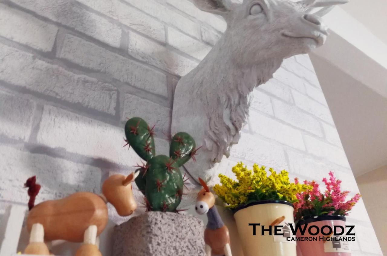 The Woodz Homestay - 2 Storey Landed House مرتفعات كاميرون المظهر الخارجي الصورة